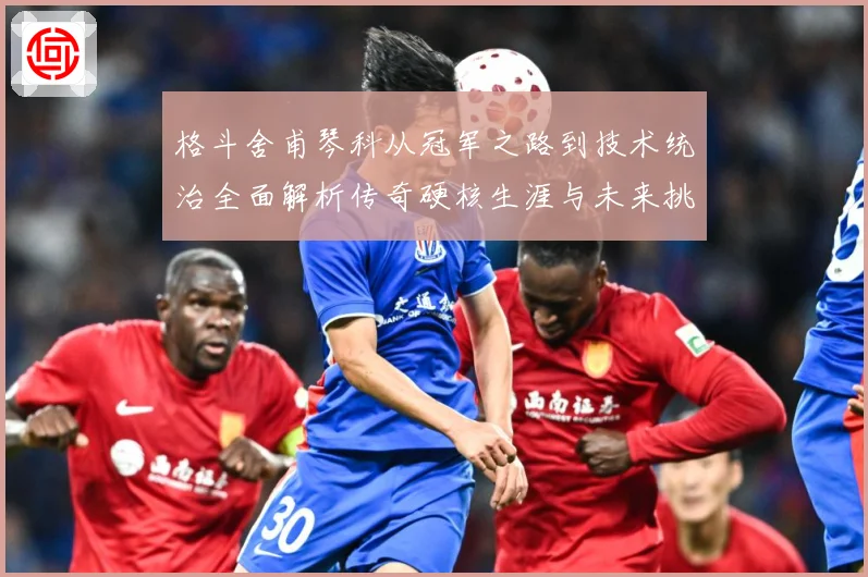 格斗舍甫琴科从冠军之路到技术统治全面解析传奇硬核生涯与未来挑战