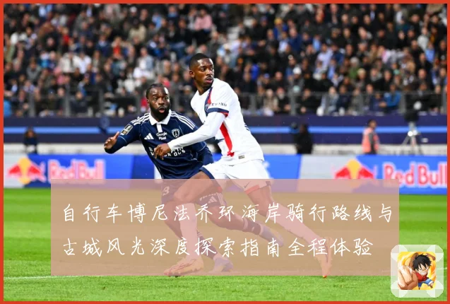 自行车博尼法乔环海岸骑行路线与古城风光深度探索指南全程体验