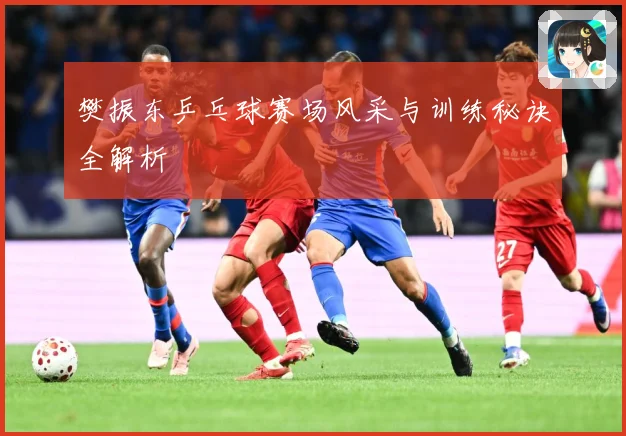 樊振东乒乓球赛场风采与训练秘诀全解析